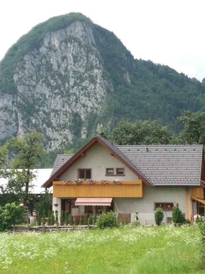 Apartma Bremec-Studio Bohinj Exteriér fotografie