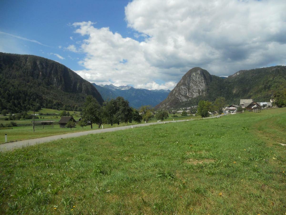 Apartma Bremec-Studio Bohinj Exteriér fotografie